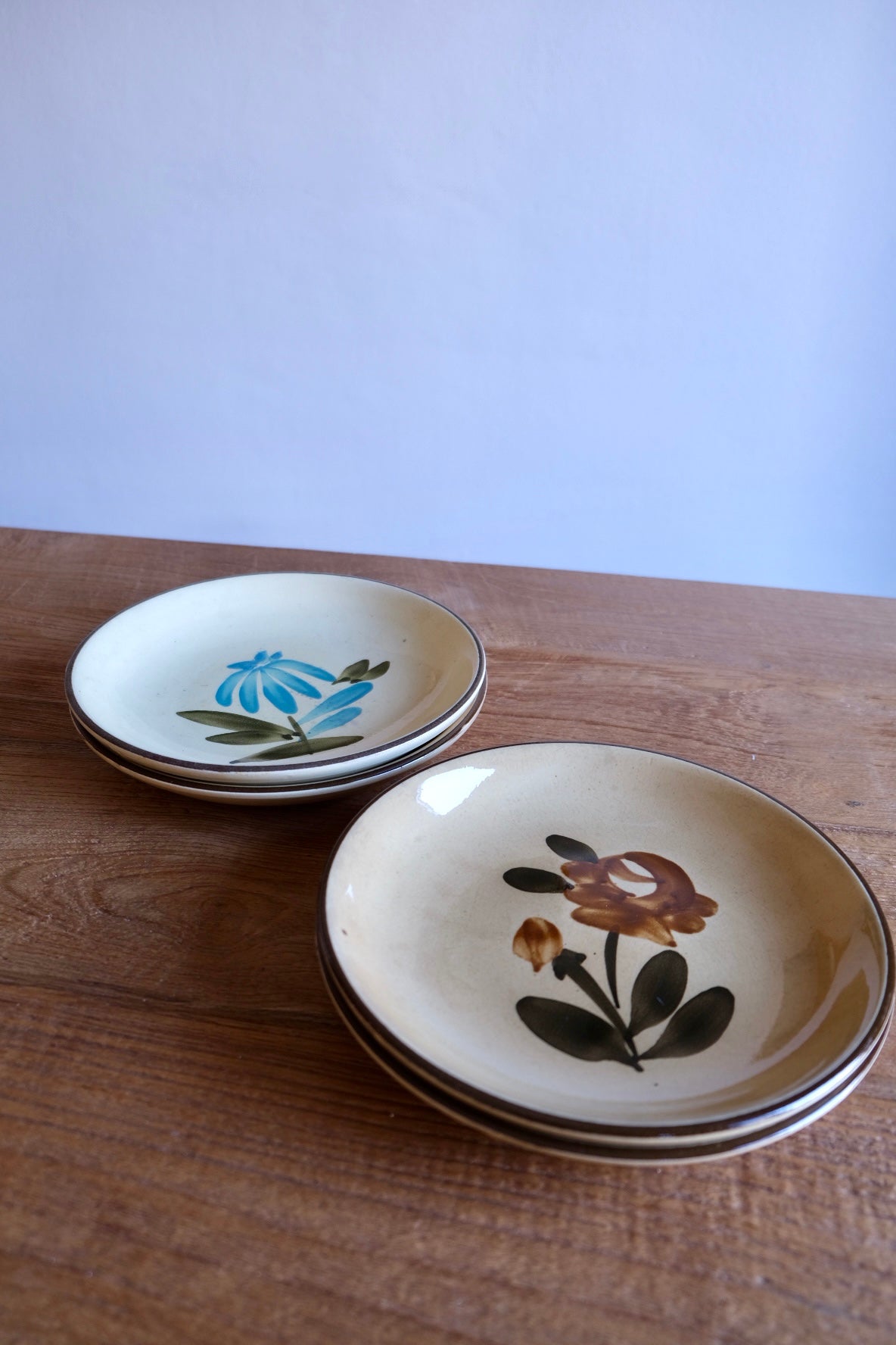 Set of 4 hand-painted Spanish pasta plates