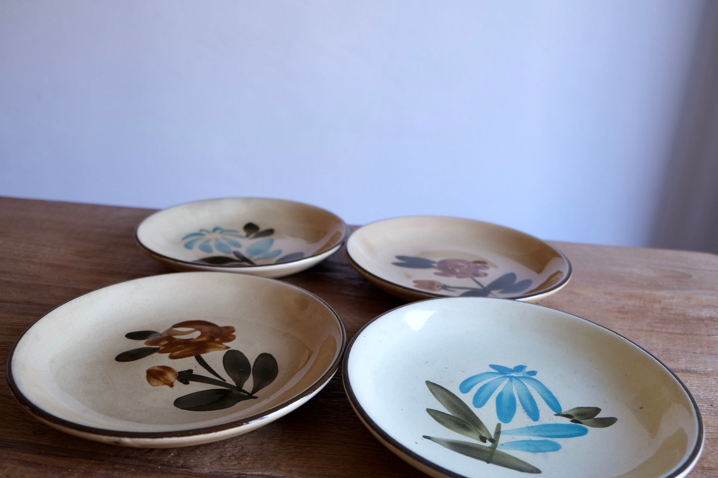Set of 4 hand-painted Spanish pasta plates