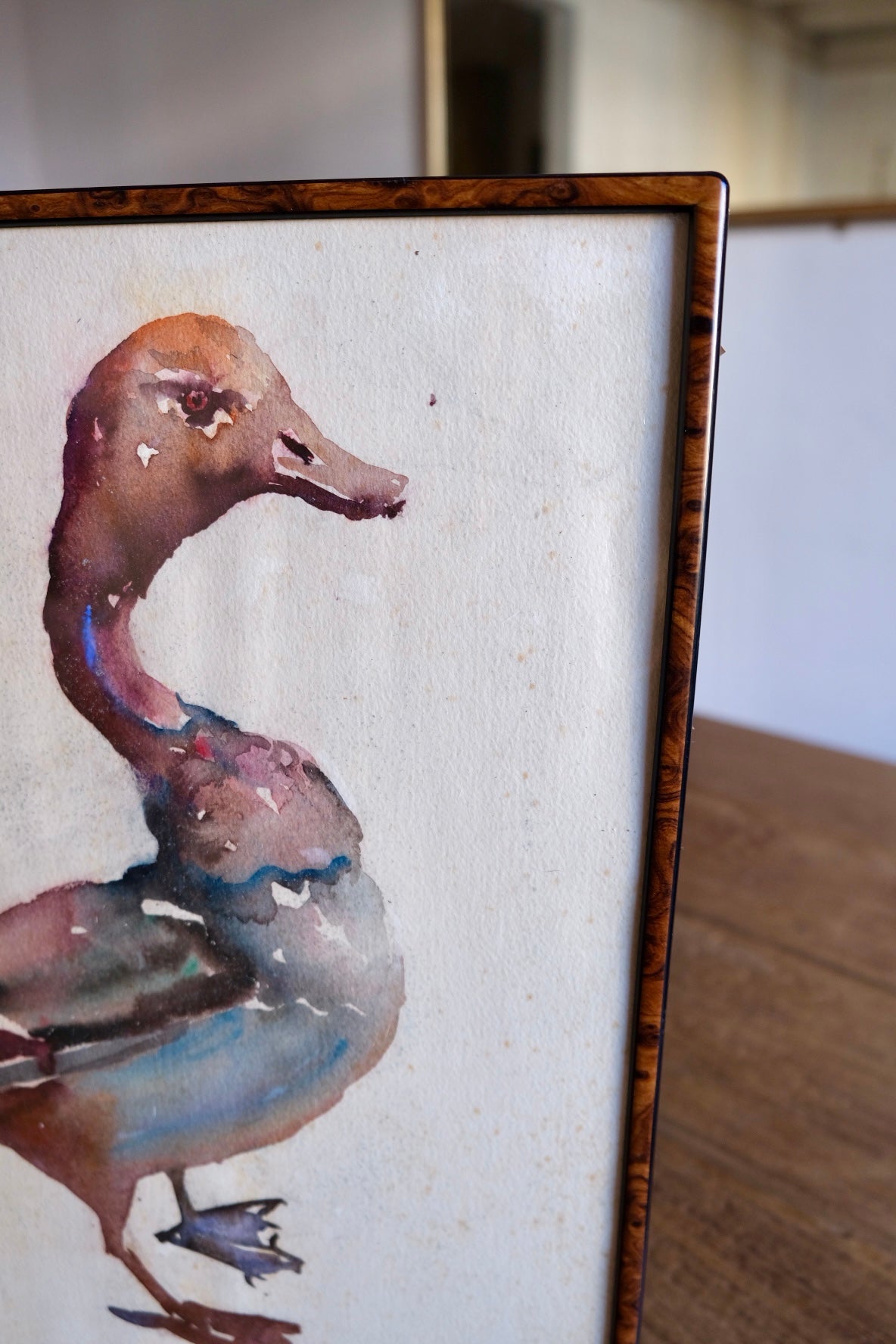 Watercolour goose, framed and signed