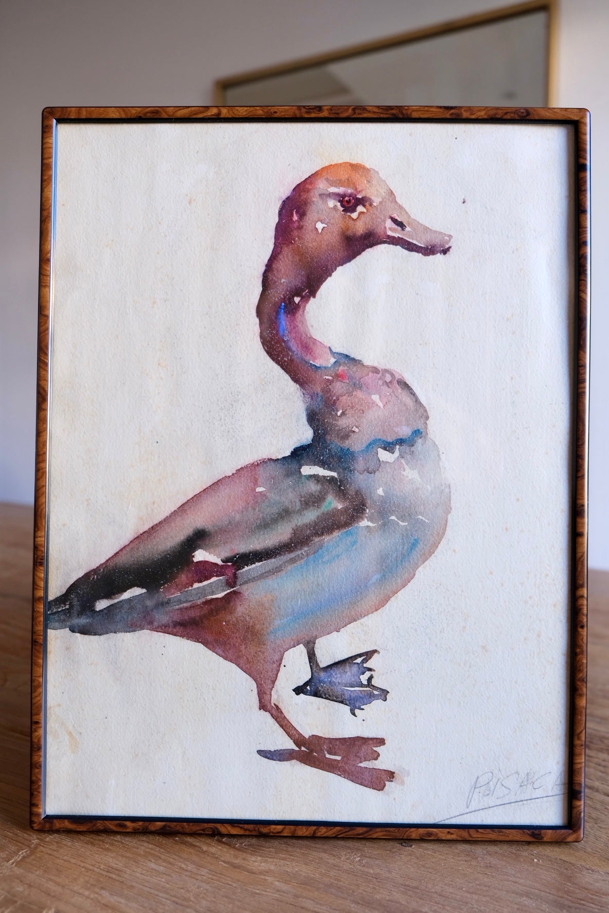 Watercolour goose, framed and signed